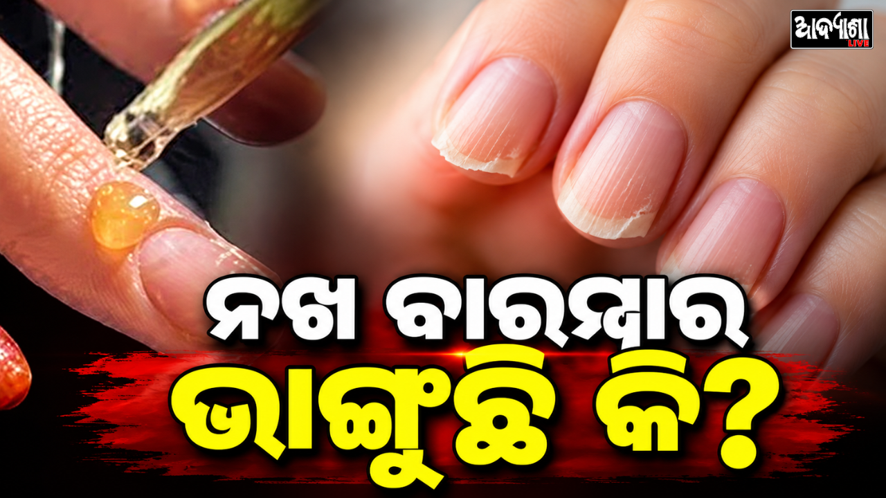 || ନଖ ବାରମ୍ବାର ଭାଙ୍ଗୁଛି କି? ||